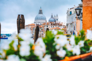 Canal Grande with Venice gondola and Basilica di Santa Maria della Salute in Venice, Italy. Spring defocused flower in foreground. Canal Grande with Venice gondola and Basilica di Santa Maria della Salute in Venice, Italy. Spring defocused flower in foreground.